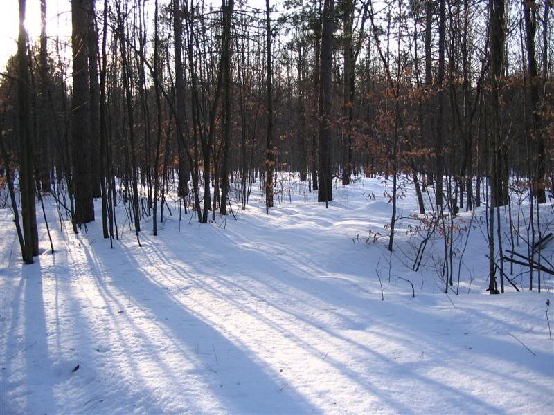 Name:  12-29-2007005Medium.jpg
Views: 63
Size:  103.9 KB