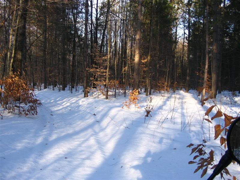 Name:  12-29-2007006Medium.jpg
Views: 31
Size:  94.3 KB