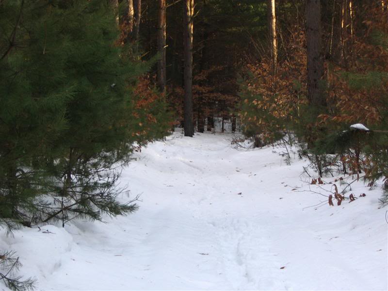 Name:  12-29-2007011Medium.jpg
Views: 29
Size:  60.1 KB