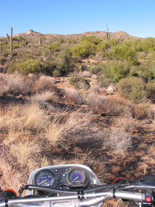 Name: DESERT_RIDE.jpg
Views: 36
Size: 175.6 KB