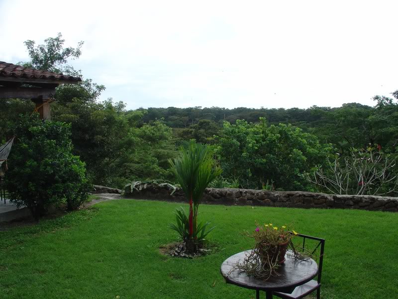 Name:  DSC01132.jpg
Views: 110
Size:  98.0 KB