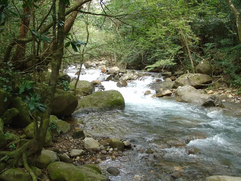 Name:  DSC01137.jpg
Views: 126
Size:  174.9 KB