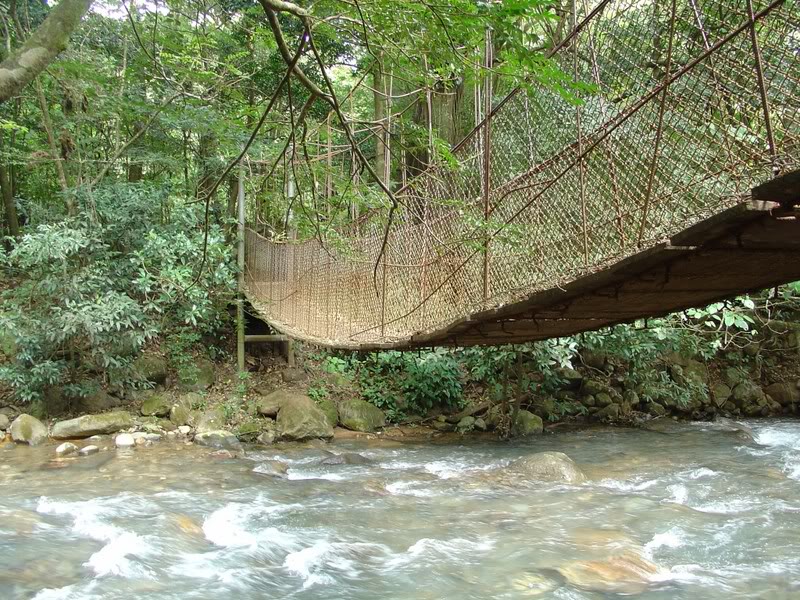 Name:  DSC01138.jpg
Views: 126
Size:  191.2 KB