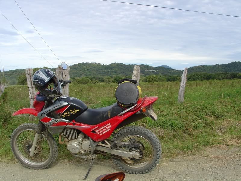 Name:  DSC01128.jpg
Views: 137
Size:  104.2 KB