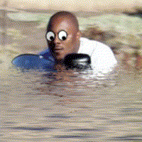 Name:  1253115-flava.gif
Views: 21
Size:  140.7 KB