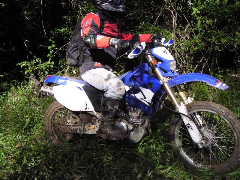 Name:  muddybike.jpg
Views: 22
Size:  130.1 KB