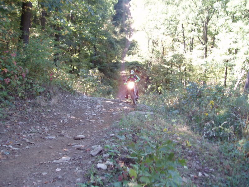 Name:  P9270021.jpg
Views: 22
Size:  123.5 KB