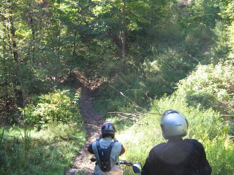 Name: rufcutriders012.jpg
Views: 26
Size: 128.6 KB