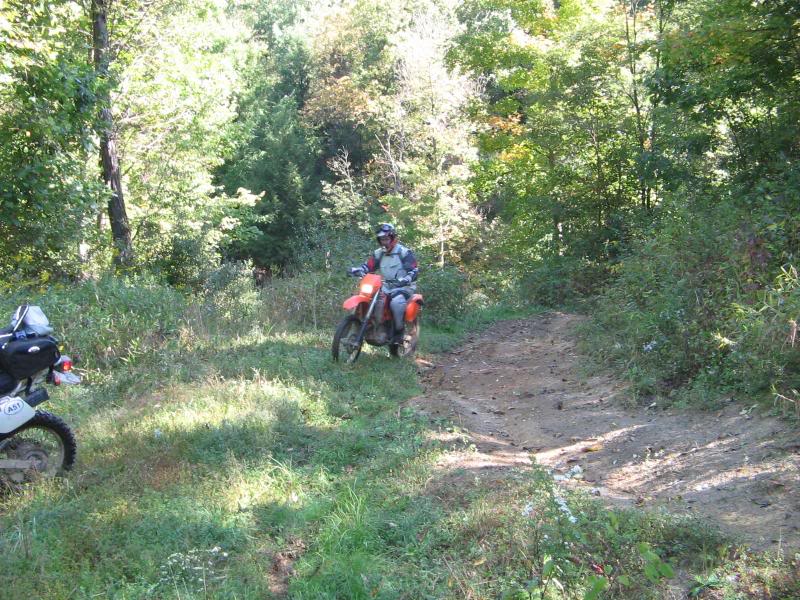 Name: rufcutriders013.jpg
Views: 86
Size: 139.9 KB