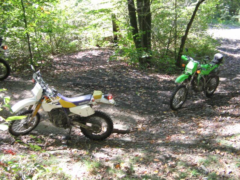 Name: rufcutriders026.jpg
Views: 31
Size: 138.9 KB