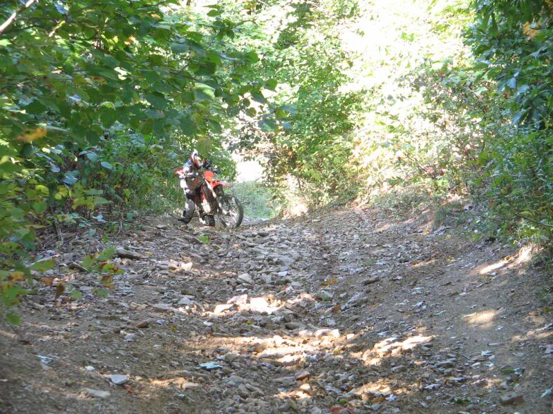Name: rufcutriders032.jpg
Views: 34
Size: 136.2 KB