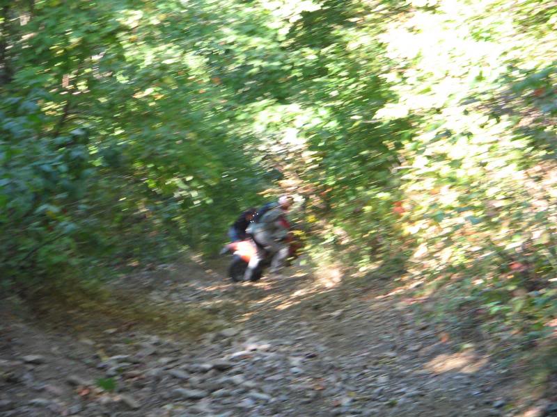 Name: rufcutriders035.jpg
Views: 31
Size: 100.0 KB