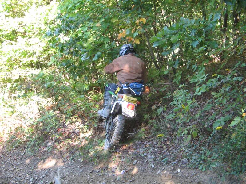 Name: rufcutriders037.jpg
Views: 83
Size: 135.9 KB