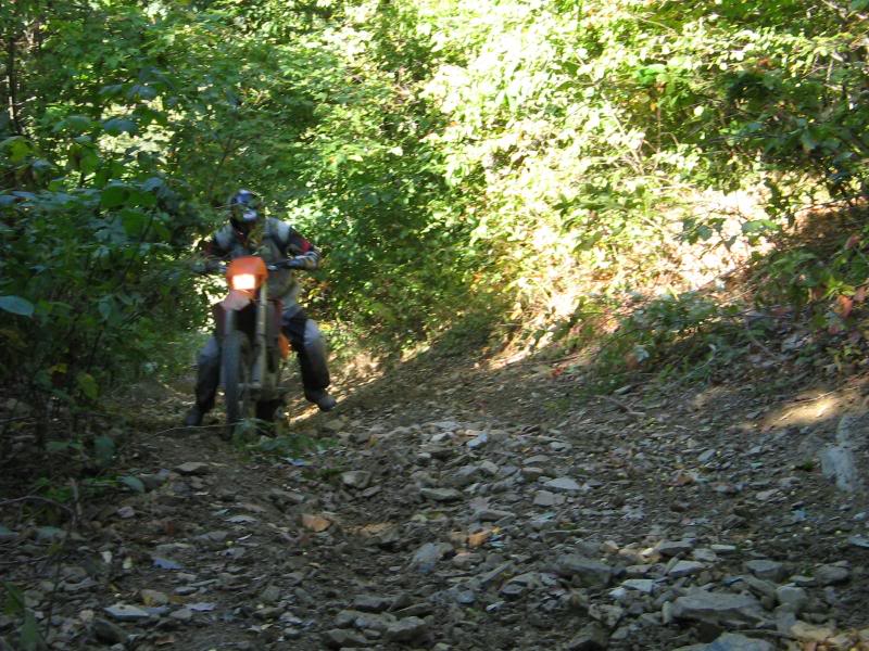 Name: rufcutriders038.jpg
Views: 27
Size: 122.7 KB