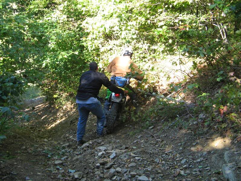 Name: rufcutriders041.jpg
Views: 83
Size: 147.1 KB