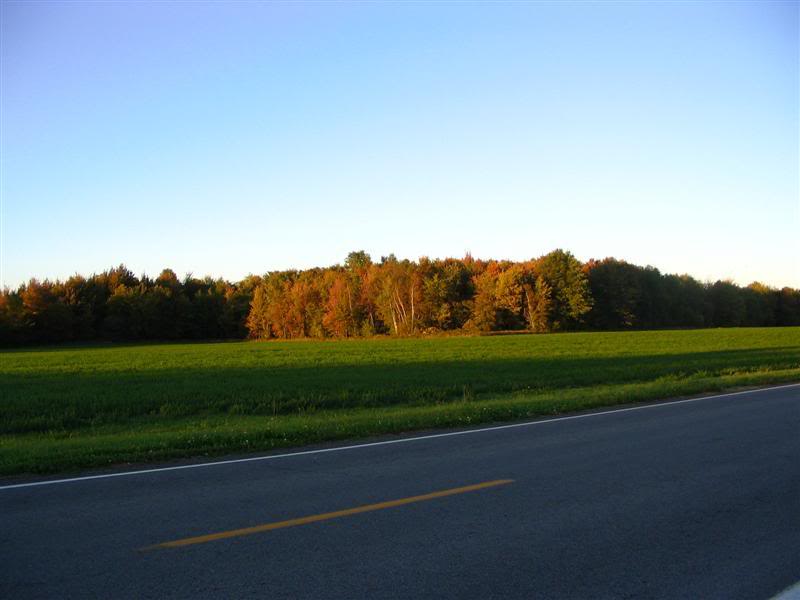 Name:  09-29-07004Medium.jpg
Views: 18
Size:  38.1 KB