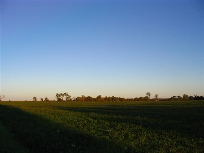 Name:  09-29-07006Medium.jpg
Views: 19
Size:  29.3 KB