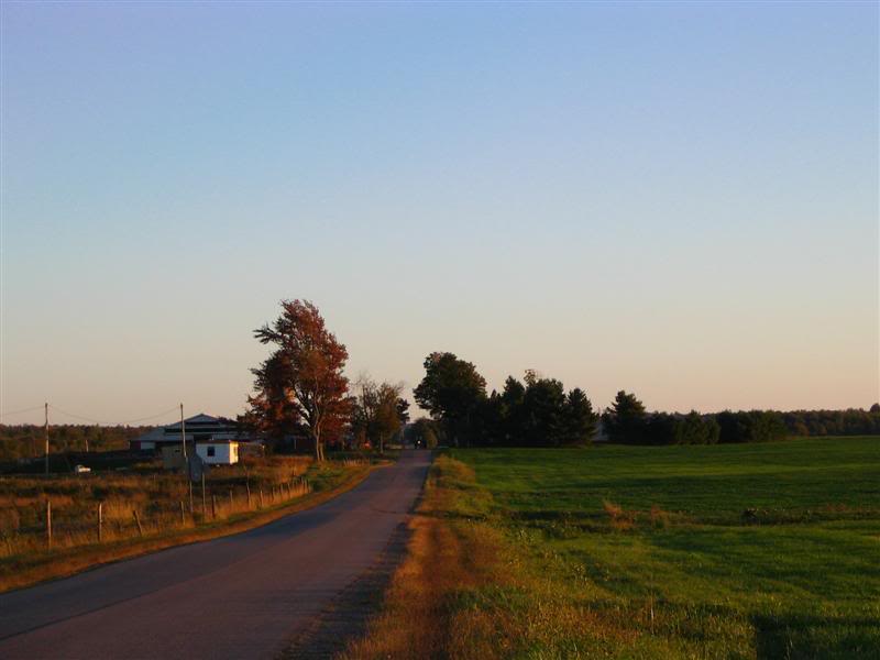 Name:  09-29-07007Medium.jpg
Views: 16
Size:  36.2 KB