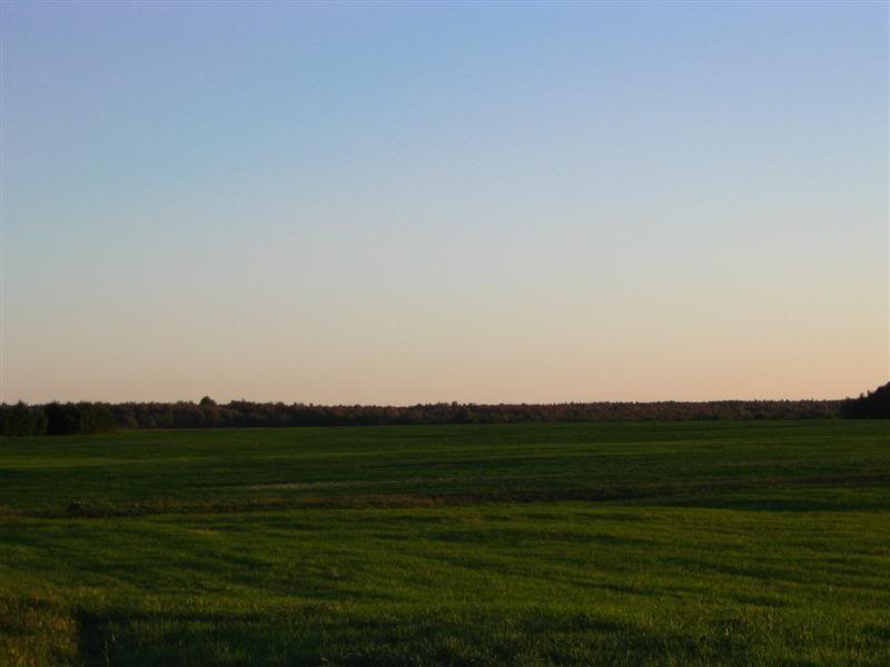 Name:  09-29-07008Medium.jpg
Views: 16
Size:  30.4 KB