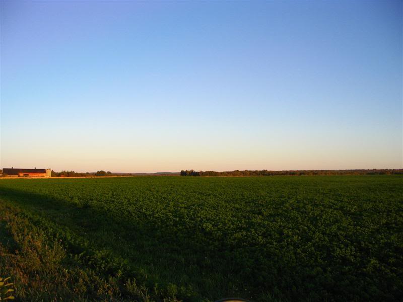 Name:  09-29-07010Medium.jpg
Views: 20
Size:  41.2 KB