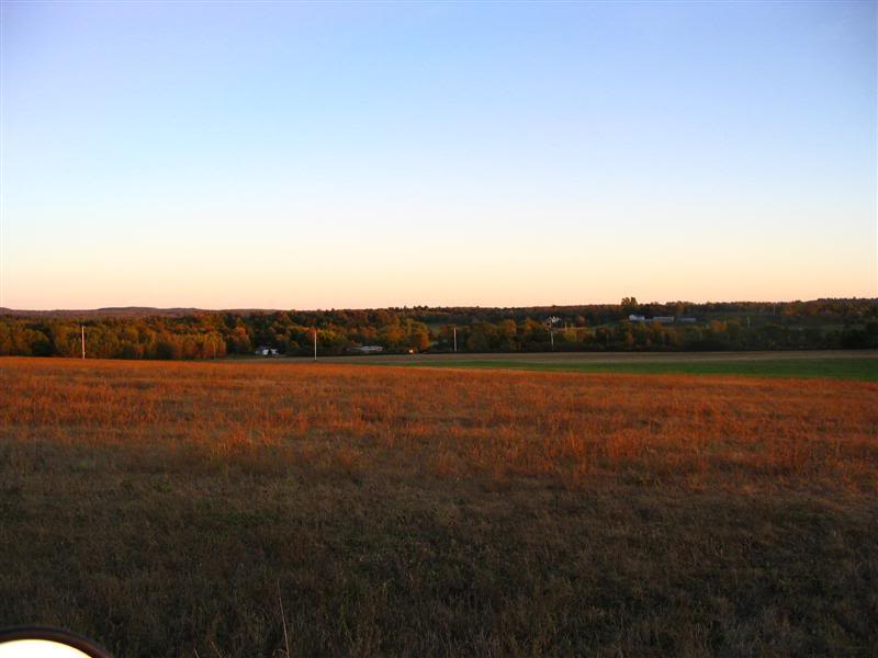 Name:  09-29-07014Medium.jpg
Views: 17
Size:  42.1 KB