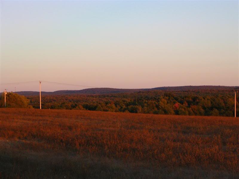 Name:  09-29-07015Medium.jpg
Views: 16
Size:  33.8 KB