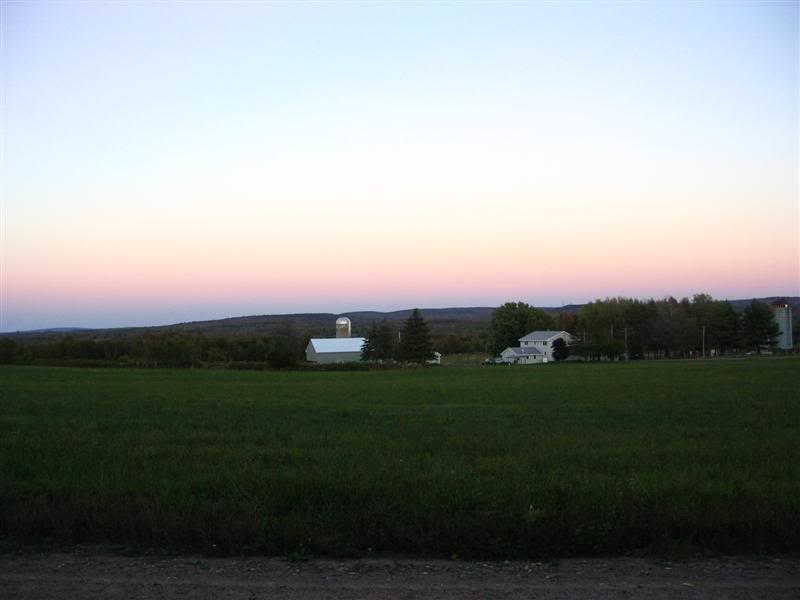 Name:  09-29-07018Medium.jpg
Views: 16
Size:  27.7 KB