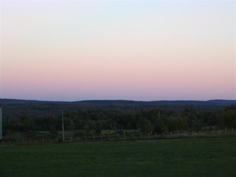 Name:  09-29-07020Medium.jpg
Views: 14
Size:  21.9 KB