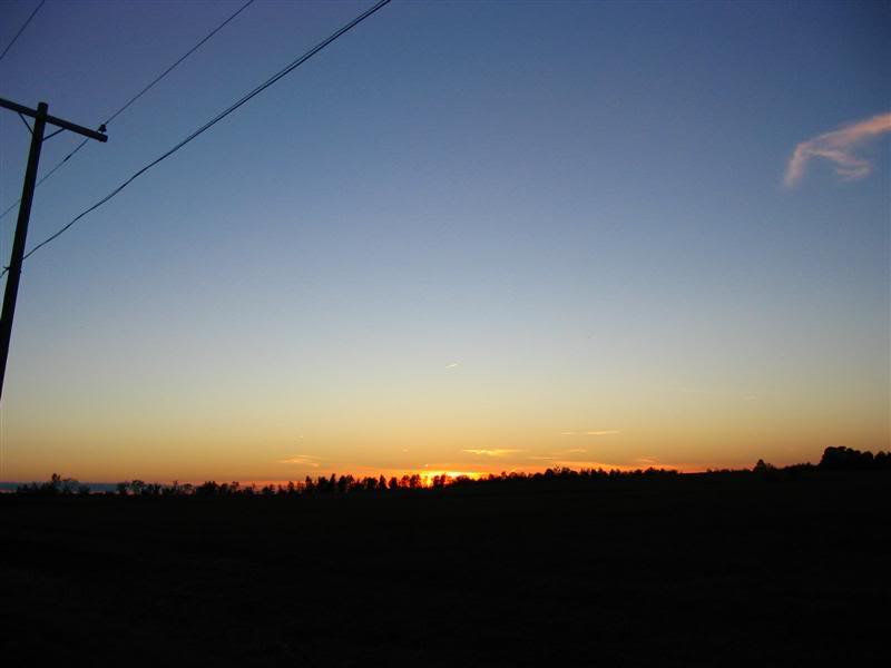 Name:  09-29-07023Medium.jpg
Views: 16
Size:  20.2 KB