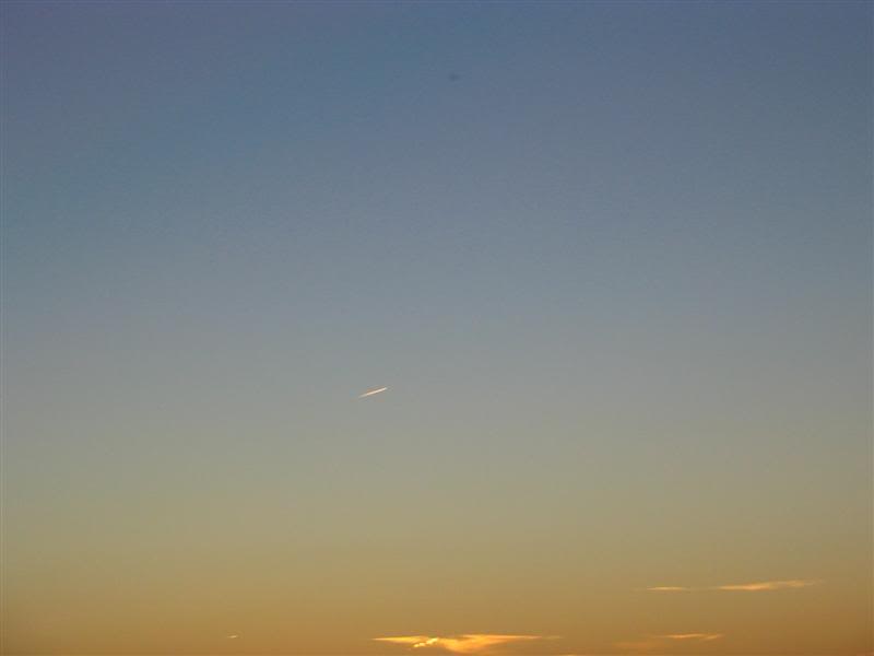 Name:  09-29-07024Medium.jpg
Views: 14
Size:  10.0 KB