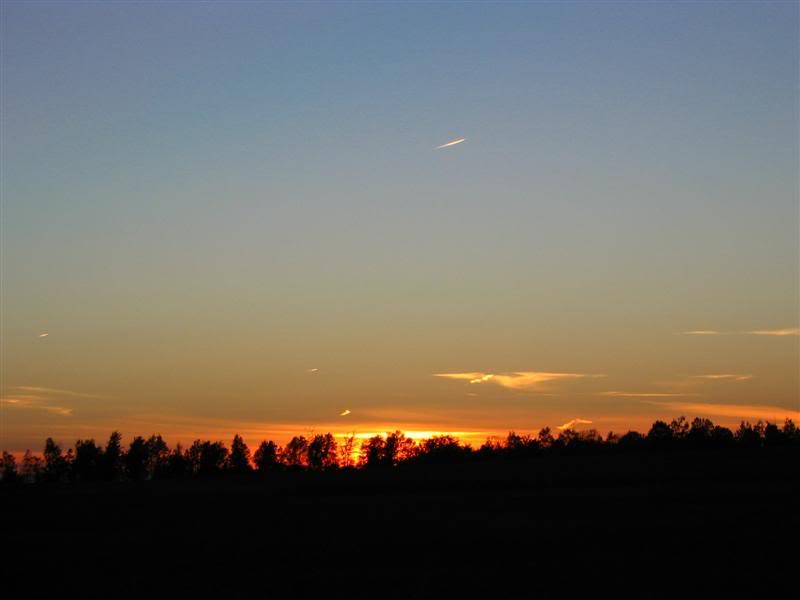 Name:  09-29-07025Medium.jpg
Views: 16
Size:  18.0 KB