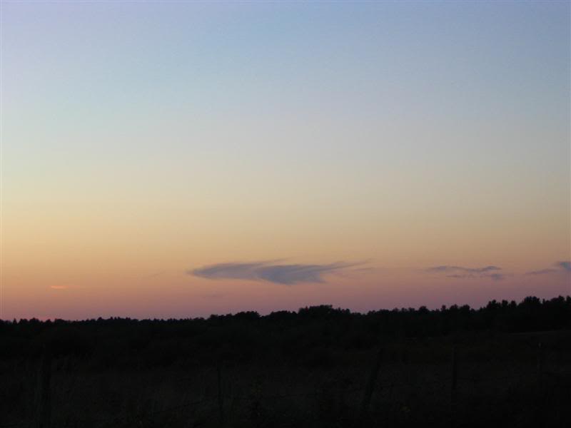 Name:  09-29-07026Medium.jpg
Views: 15
Size:  14.8 KB