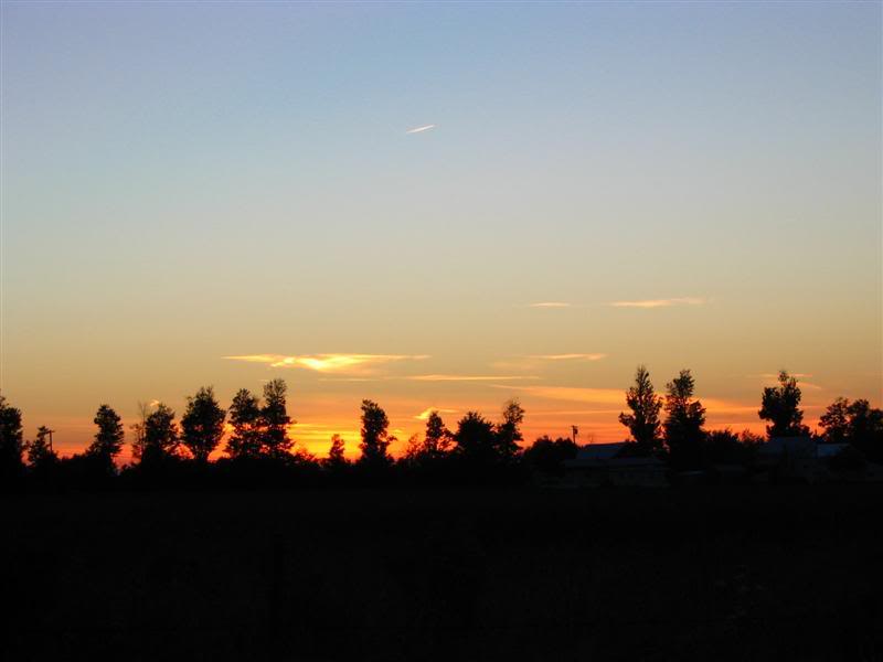 Name:  09-29-07027Medium.jpg
Views: 17
Size:  22.9 KB