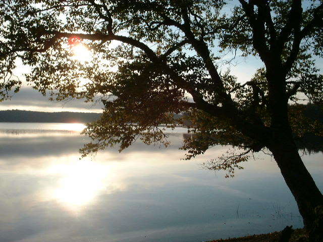 Name:  DSCF0036.jpg
Views: 16
Size:  67.8 KB