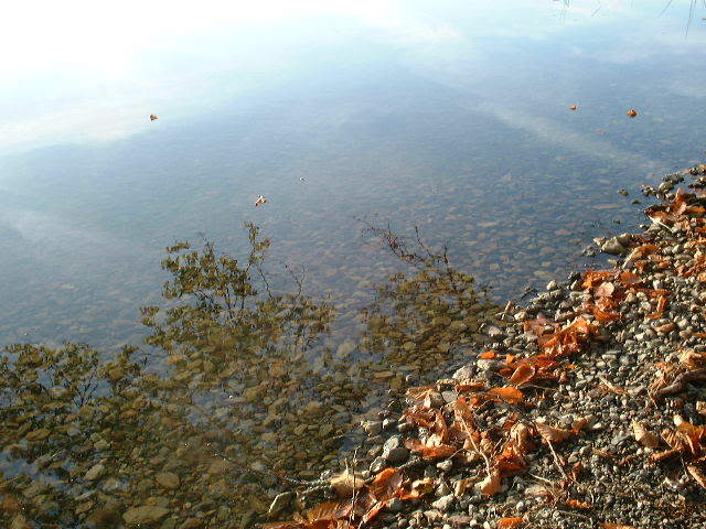 Name:  DSCF0038.jpg
Views: 15
Size:  66.9 KB
