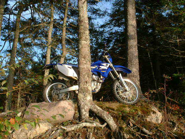Name:  DSCF0039.jpg
Views: 17
Size:  60.3 KB