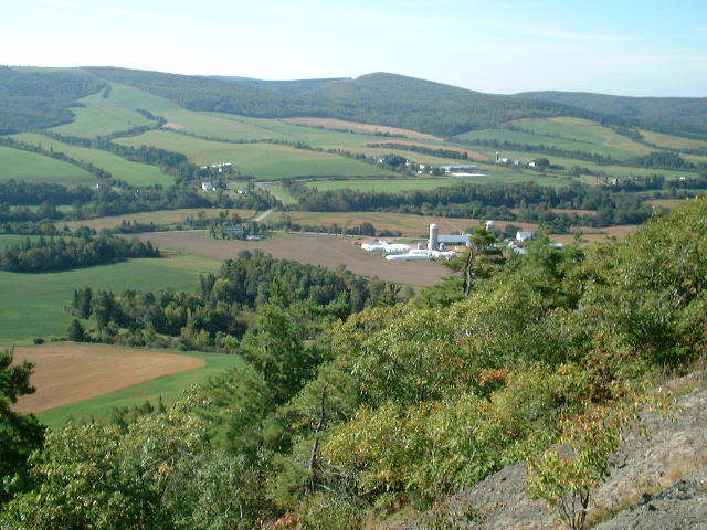Name:  DSCF0086.jpg
Views: 14
Size:  66.3 KB