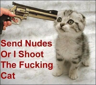 Name:  1873931-kill_cat.jpg
Views: 33
Size:  31.7 KB