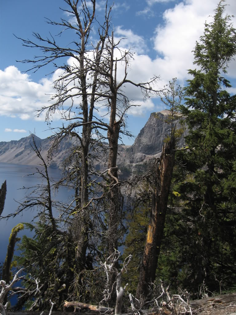 Name: 09-15-07045.jpg
Views: 70
Size: 236.9 KB