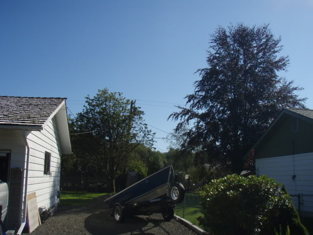 Name:  P9073112.jpg
Views: 25
Size:  66.9 KB