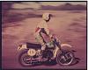 whats my 2006 KLX250 worth...112 miles-husky-1.jpg