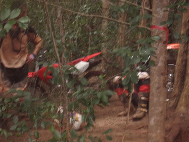 Name:  Picture091.jpg
Views: 22
Size:  53.9 KB