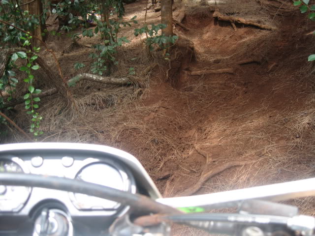 Name:  Picture087.jpg
Views: 20
Size:  81.6 KB