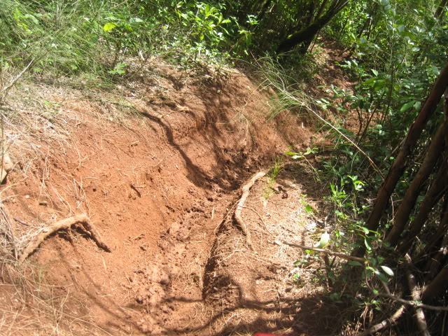 Name:  Picture086-1.jpg
Views: 21
Size:  139.0 KB