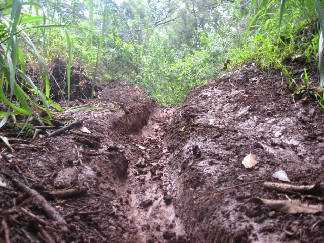 Name:  Picture082-1.jpg
Views: 23
Size:  121.7 KB