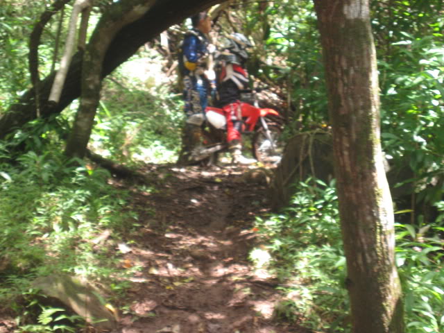 Name:  Picture078.jpg
Views: 22
Size:  78.8 KB