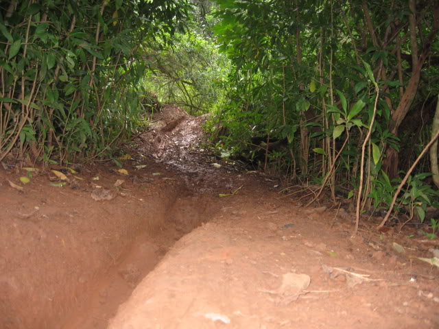 Name:  Picture081.jpg
Views: 19
Size:  82.0 KB