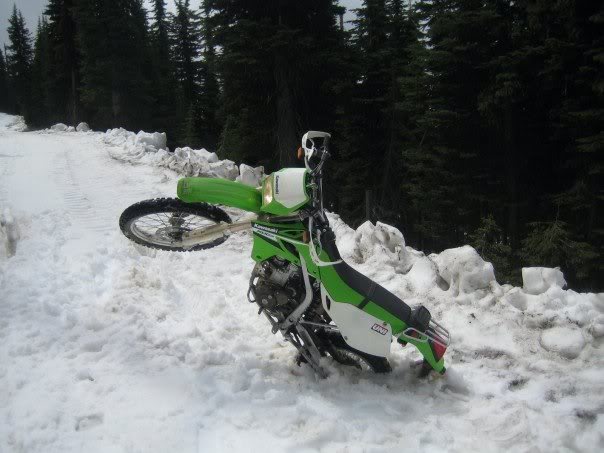 Name:  bikesnow.jpg
Views: 74
Size:  45.8 KB