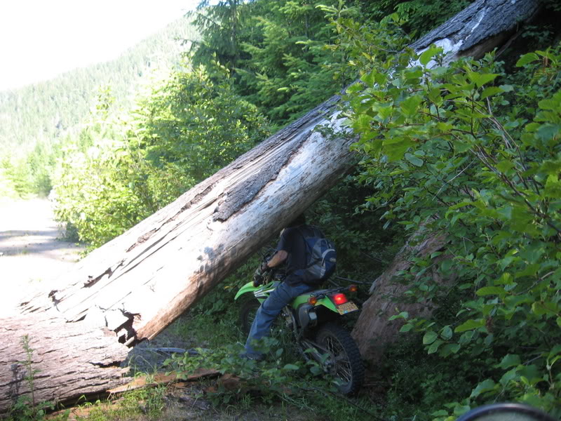 Name: 07-07-07051.jpg
Views: 58
Size: 141.5 KB