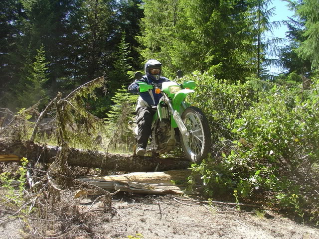 Name: DSC07505.jpg
Views: 39
Size: 144.6 KB